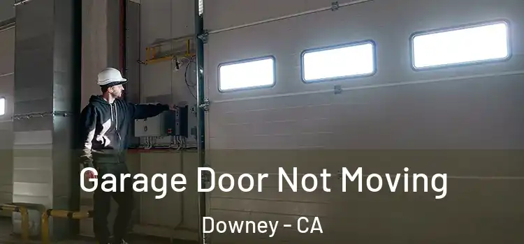  Garage Door Not Moving Downey - CA