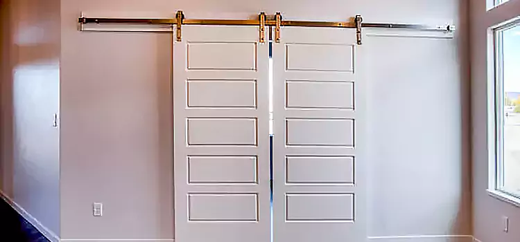 Glass Barn Door with Installation Hardware Kit Downey
