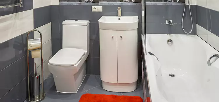 Hansgrohe Shaving Mirror Downey