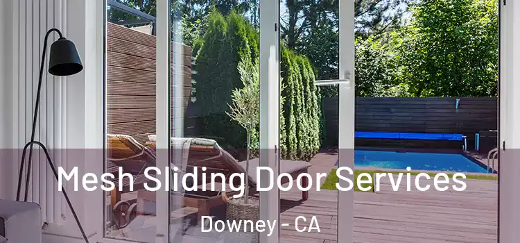 Mesh Sliding Door Services Downey - CA