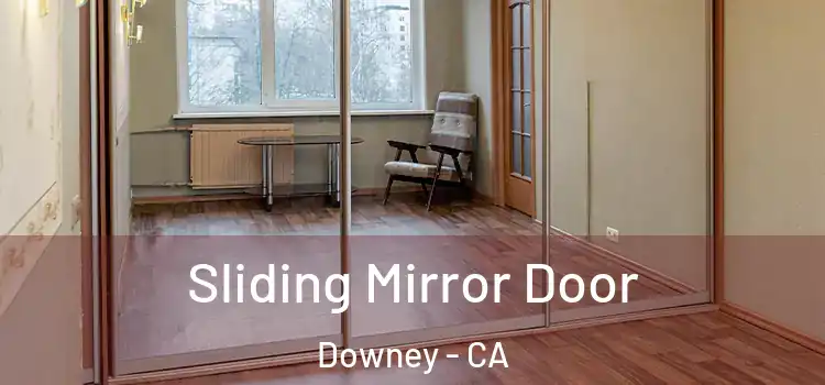  Sliding Mirror Door Downey - CA